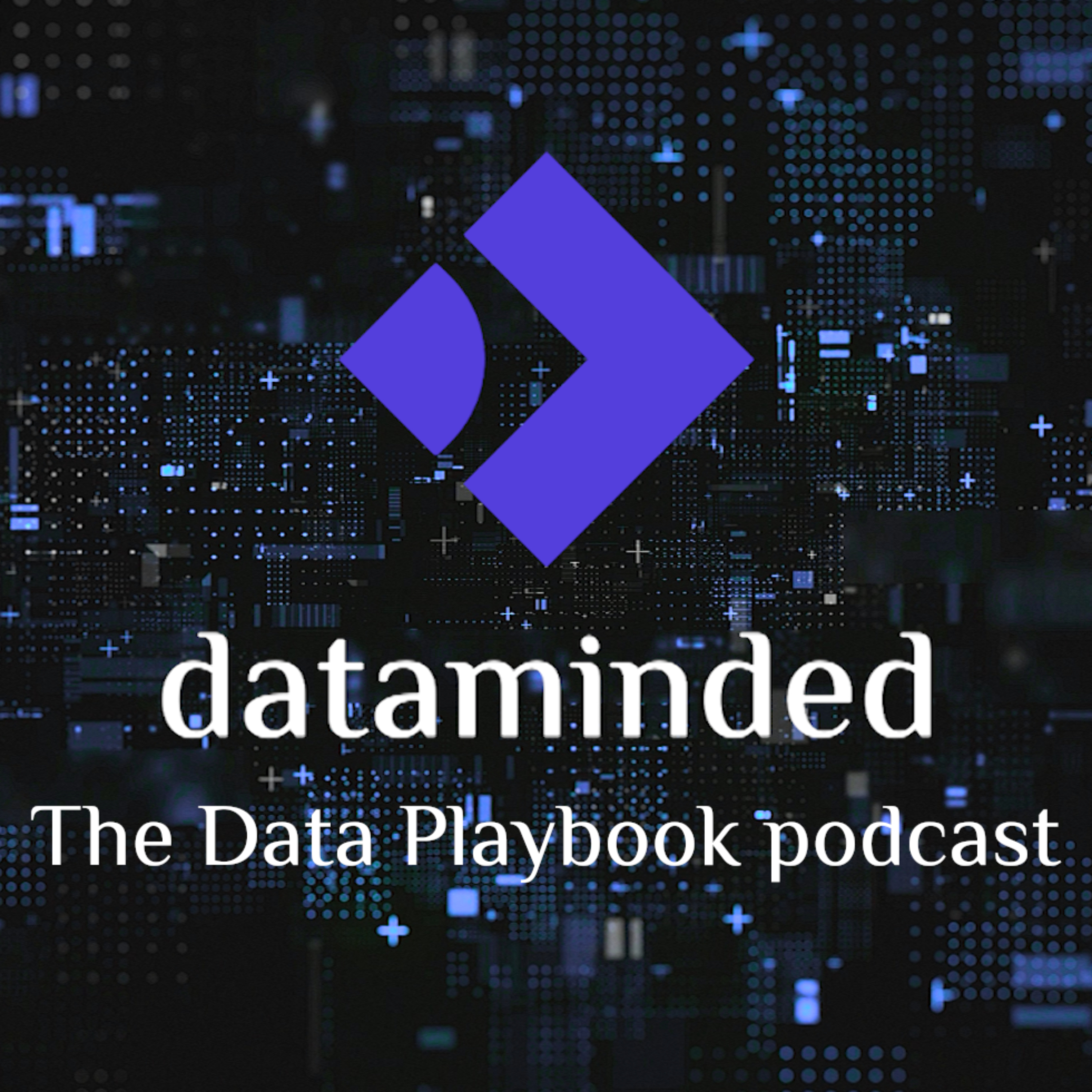 S2 E3. How imec scales research with data platforms: governance, workbenches, and adoption - The Data Playbook Podcast with Kris Peeters & Wim Vancuyck
